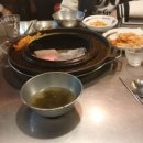 동백갈매기