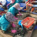 일종수산 이미지