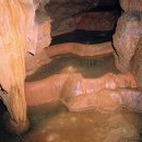 삼척초등학교 이미지