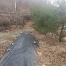 백두농장 이미지