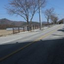 원주굽이길 원7코스 반계리은행나무길 이미지