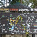 유천리 삼거리 이미지