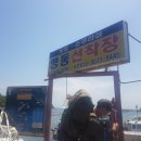 명동 선착장 이미지