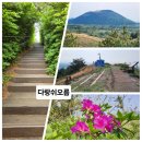 405-2-000254 | 제주, 다랑쉬오름ㆍ웅장하고 강인한 풍모가 멋 있는 오름의 왕