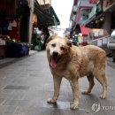 떠돌이상인연합