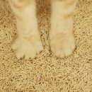 (주)아로펫 이미지