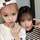 채원 이미지