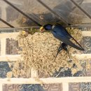 금마면 평촌마을회관 이미지