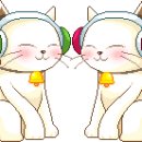 팔손이-서윤희 이미지
