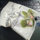 용인자매약국 | 2026년 1월기