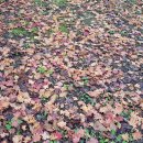 진주농장 이미지