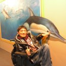 영도장애인자립생활센터 이미지