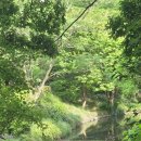 🌤️🩵🐰🧀🎶🌿🏞️ 이미지