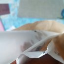 아리랑다방 이미지