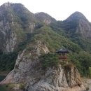 팔경농원