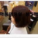 봉스헤어 - 서구 | 봉스헤어