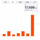 홍콩야경 피크트램, 나혼자산다 구성환 템플스트리트야시장 스파이시크랩 후기~