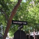 [20190504] 레프트 뱅크 @ 산타나 로우, 산호세 (Left Bank @ Santana Row, San Jose CA)