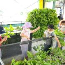 청남초교 병설유치원 이미지