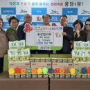 고팡