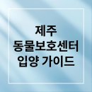 HELP 유기동물 의료센터 | 제주 동물보호센터 완벽 가이드: 유기견 입양부터 봉사까지 A to Z