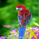 완벽하지 않아도 괜찮아 이미지