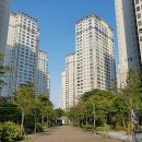 반포 이미지