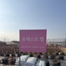 한산농장 | [경기 용인] 겨울방학 딸기체험 동물체험 아이와 가볼 만한 곳 용인 포레스트 벨 체험농장