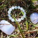 블루광학 이미지