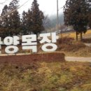 초롱목장 이미지