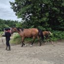 대연목장 이미지