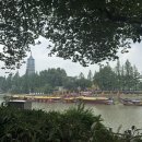 진화 묘 이미지