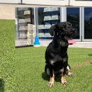 동물은내친구 이미지