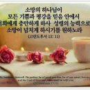 (주)호마노