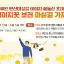 부안변산마실길 이미지