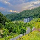 강원산림원 이미지