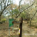 동문그린 이미지