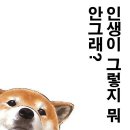 냥 이미지