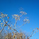 고례마을 이미지