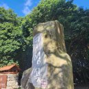 제주궁전 | 제주 산양큰엉곳 완벽 가이드 | 포토존·입장료·반딧불이 탐방 총정리