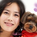 오마이펫 이미지