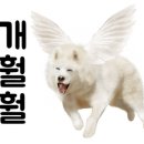 장미용실 이미지