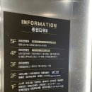 천안 불당동 미용실 추천 본 헤어 파크점 여자 여름 염색 매트 브라운 후기