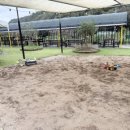 대암 팜트리 이미지