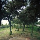 광령지석묘 6호 | [제주도 여행] 제주도 애월 해안도로 즐기기 하귀부터 남도리 쉼터까지