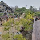 여주-0944 네이버블로그