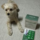 으뜸덴탈 이미지