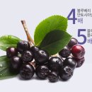 찬물샘 이미지