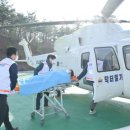 닥터로나 이미지