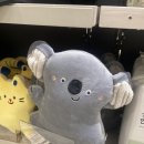 도토리노래연습장 이미지